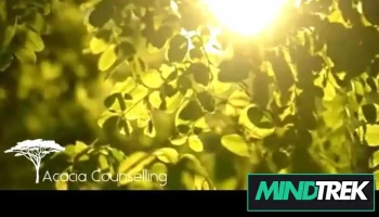Acacia Counselling - Trenton