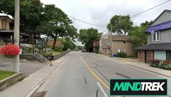 Blossom Lives - Newmarket