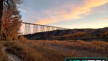 Bridge Therapy - Canada