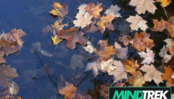 Central Ontario Psychology - Barrie
