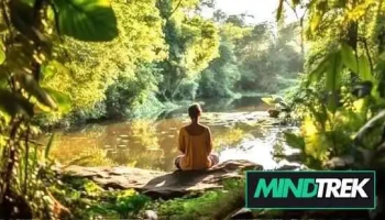 Clear Path Psychotherapy - Ottawa