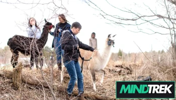 Dancing Goat Therapy Farm - Burtts Corner