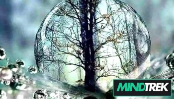 Doctor Dna Mental Health and Life Coaching - Milton