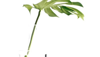 Fp Counselling Inc. - Calgary