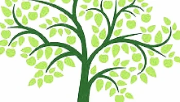 Green Life Counseling - Richmond Hill