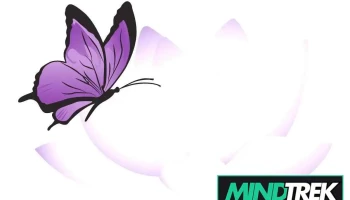 Lindsay O'Neil Trauma and Psychotherapy Services - Welland