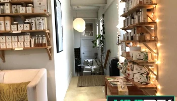 Living Waters Therapies - Toronto
