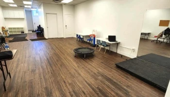 Majestic Minds Mental Health and Autism Services - Brampton - Brampton