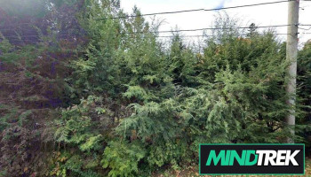 Massage Therapy Muskoka - Huntsville