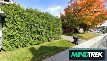 Nancy Lessard Massothérapeute - Saint-Joseph-De-Beauce