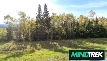 One Step, One Day at a Time: Yukon Healing Journey - Haines Junction