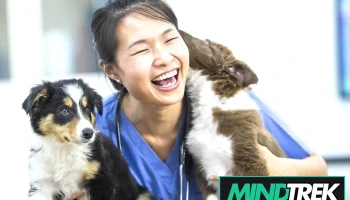 Silverfox Veterinary Medical Centre - Salisbury
