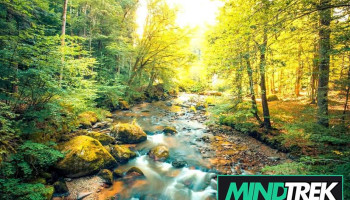 True Connections Psychological Services - Ponoka