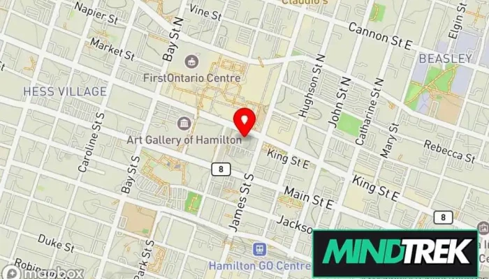 map of Ancestral Memory Therapy Psychotherapist in Hamilton