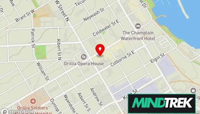 map of Biofield Tuning Ontario Holistic medicine practitioner in Orillia