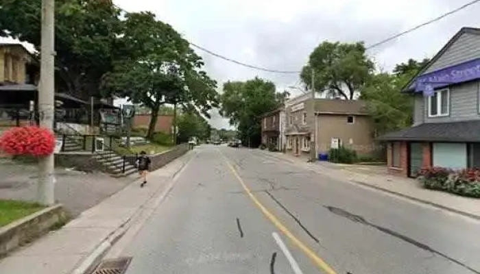 Blossom Lives -  All - Newmarket