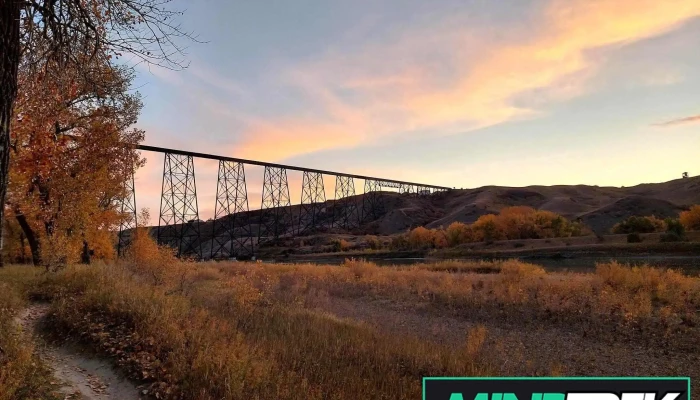 Bridge Therapy - Canada