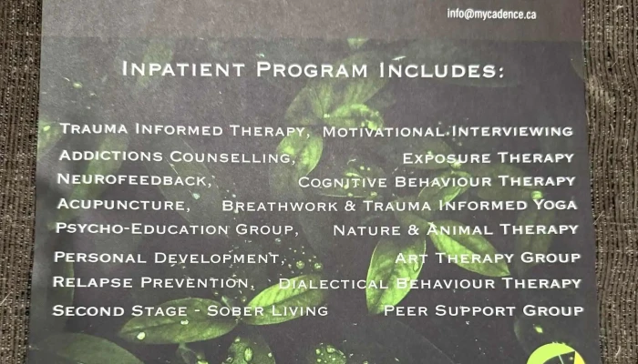 Cadence Health Wellness Inc Mental Health Service - Newmarket