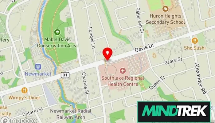 map of Carol Speed-Zeyen MSW RSW CBT Therapist Psychotherapist, Social worker in Newmarket
