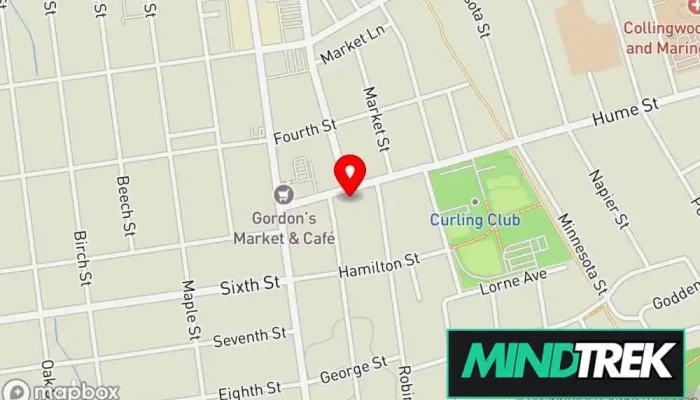 Cedar And Waves Psychotherapy -  Map - Collingwood