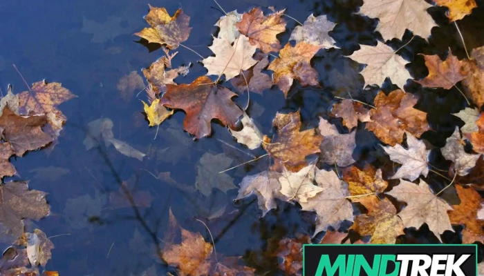 Central Ontario Psychology -  All - Barrie