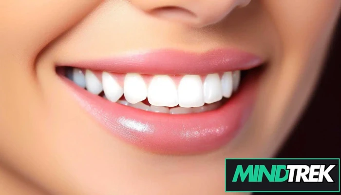 Chatham Family Dental -  Latest - Chatham