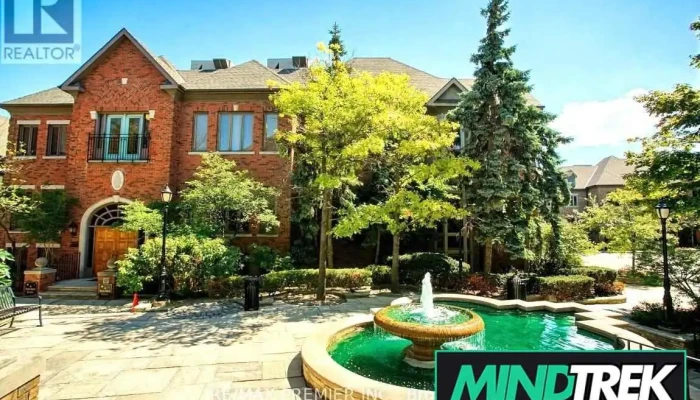 Collaborative Therapy - Mississauga
