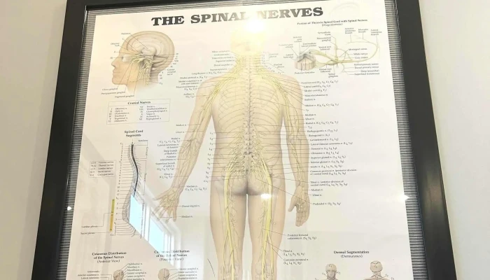 Cornwall Spine Care Plus -  Chiropractor - Cornwall