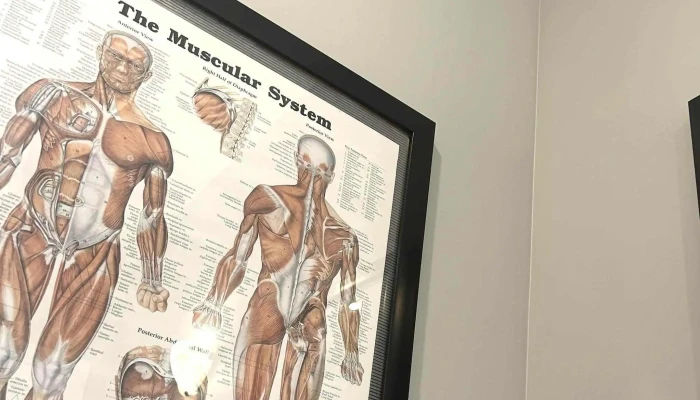 Cornwall Spine Care Plus - Cornwall
