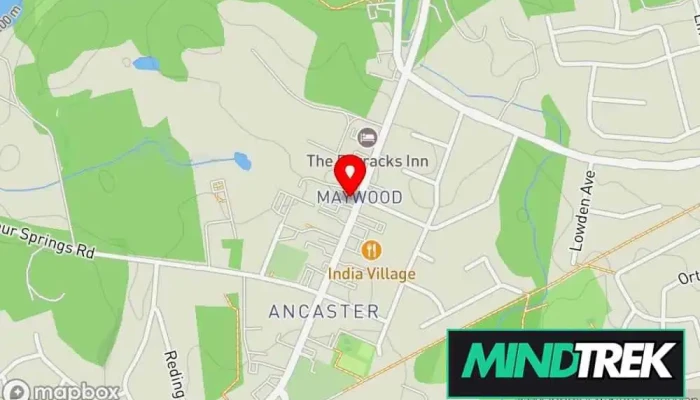 map of Dina Bednar Psychotherapist in Ancaster