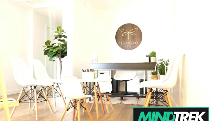 Dragonfly Child and Family Wellness Centre - Regina