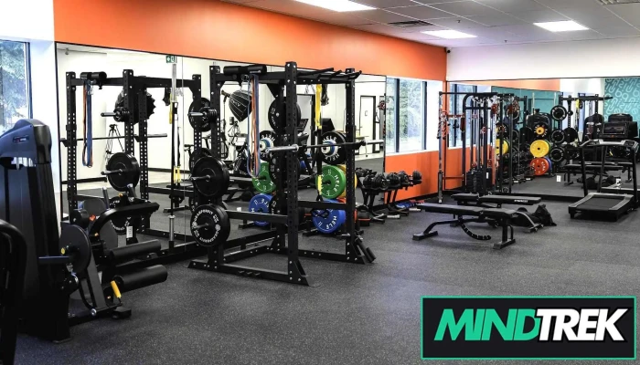 Elysian Wellness Centre -    Kanata By Owner - Nepean
