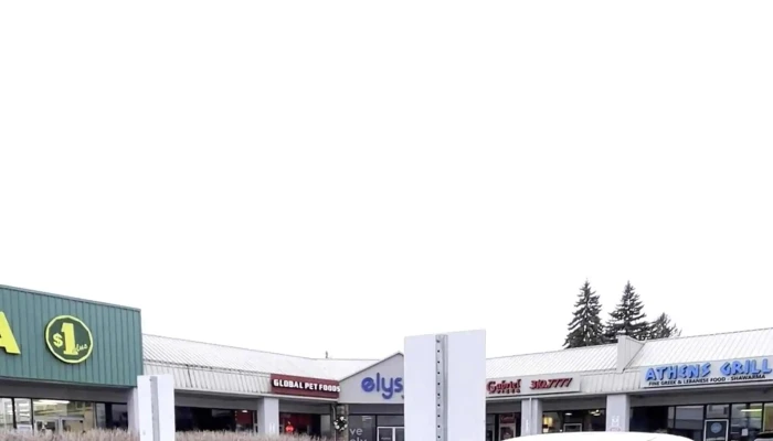 Elysian Wellness Centre -    Kanata Nepean - Nepean