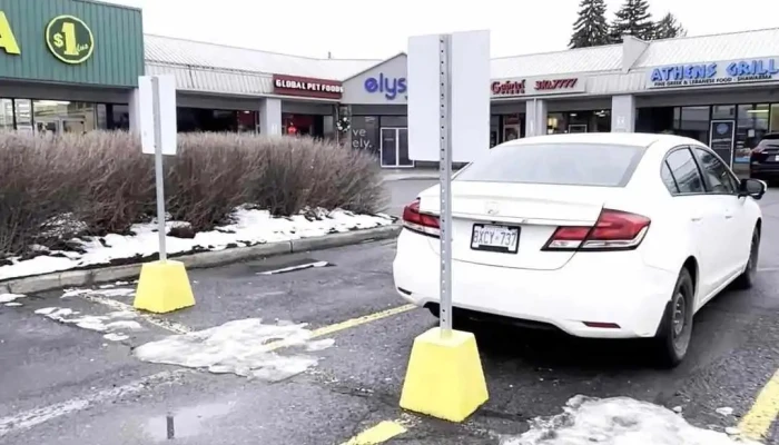 Elysian Wellness Centre -    Kanata Videos - Nepean