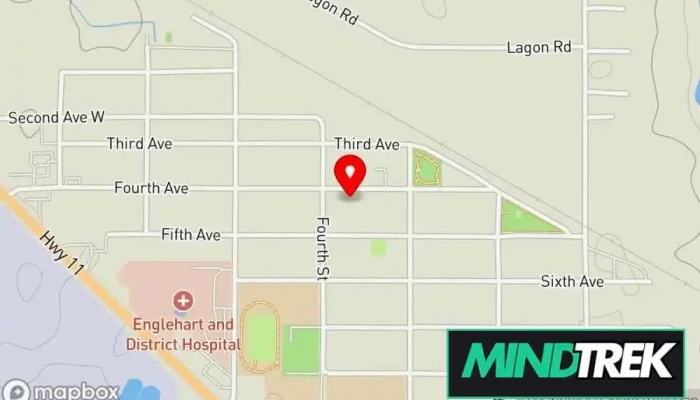 Englehart Animal Hospital -  Map - Englehart
