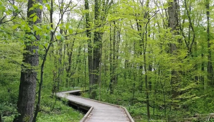 Etobicoke Counselling -  All - Etobicoke