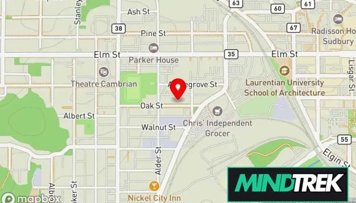 map of Farmer & Associates Sudbury Therapists Counselor, Family counselor, Marriage or relationship counselor, Mental health service, Psychotherapist in Greater Sudbury