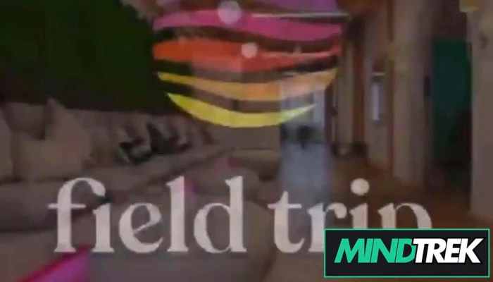 Field Trip Health Sault Ste Marie Ketamine Therapy By Owner - Sault Ste. Marie