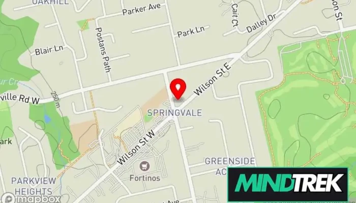 map of FOOT KNEE BACK CLINIC Chiropractor, Massage therapist, Naturopathic practitioner, Orthotics & prosthetics service, Physical therapist in Ancaster