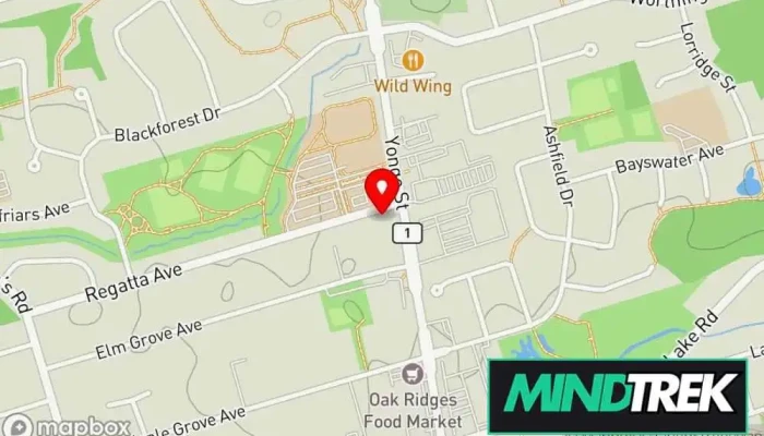 map of Goodfield Mor And Associates Mental health clinic in Richmond Hill