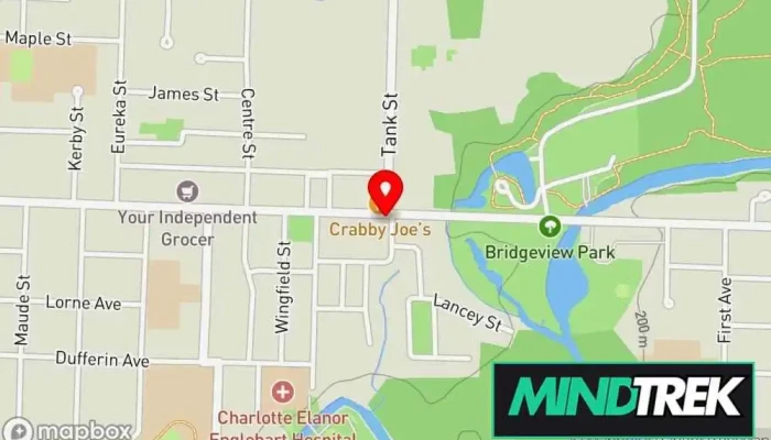 Great Lakes Wellness Collective Formerly Great Lakes Neurofeedback Counselling Map - Petrolia