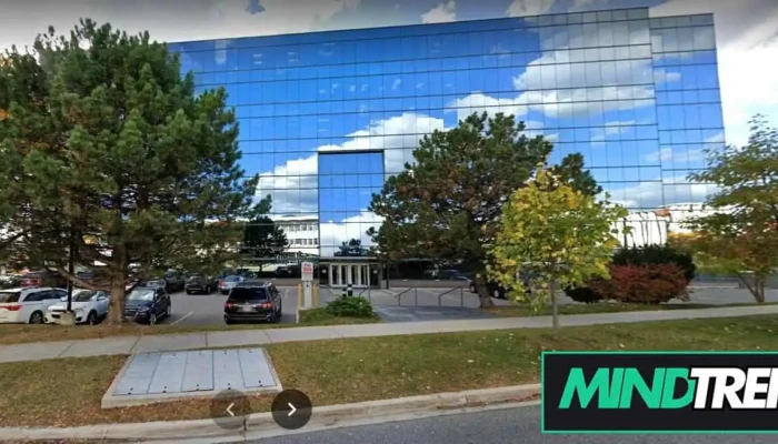 Growing Minds -    Toronto   Psychological Support Services By Owner - Toronto