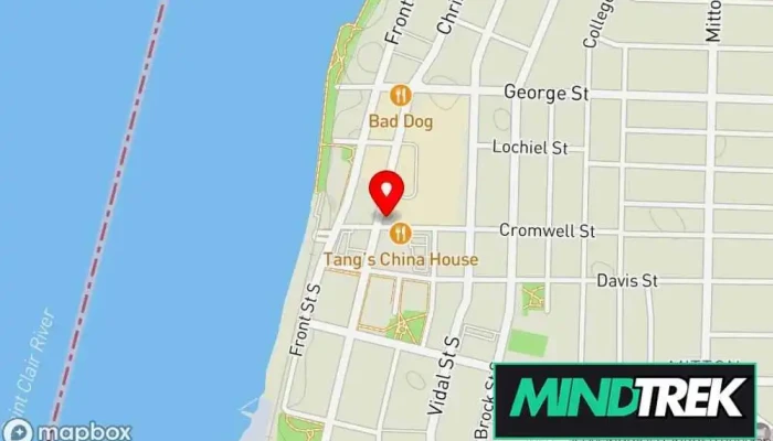 Health Counselling And Therapy -  Map - Sarnia