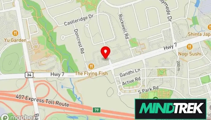 Healthcare Management Group -  Map - Richmond Hill
