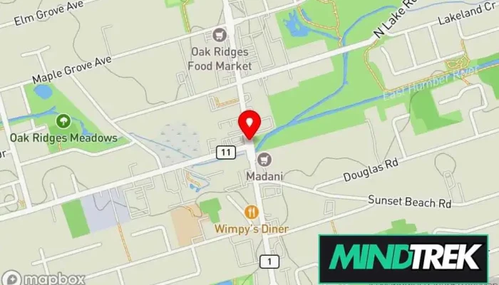 map of I Blume Therapy Mental health service in Richmond Hill