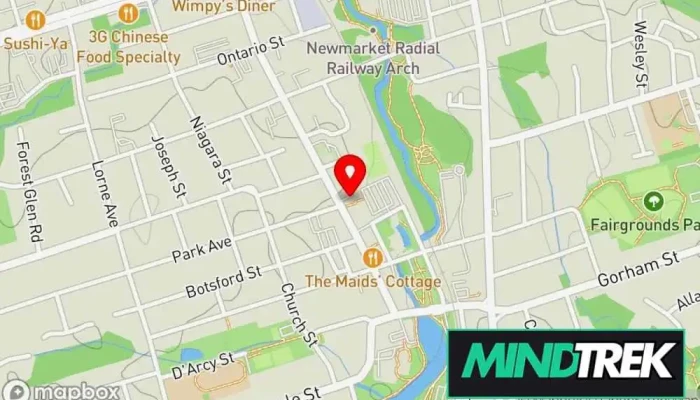 map of Janice Hall Holistic Psychotherapy Psychotherapist in Newmarket