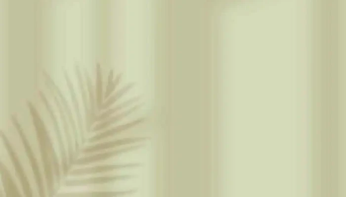Jenn Prothero Wellness -  By Owner - Chatham