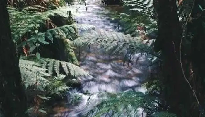 Life Restoration Counselling Group Lrcg By Owner - Whitby