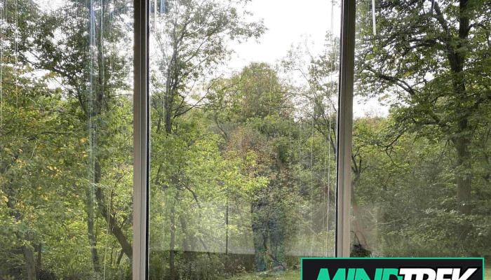 Macdonald Psychotherapy All - Ajax