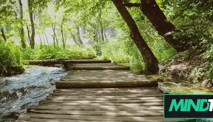 Mark Weitz Counselling -  All - Concord